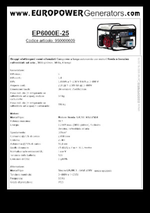 Stromerzeuger, Benzin Europower EP6000E-25 (S)
