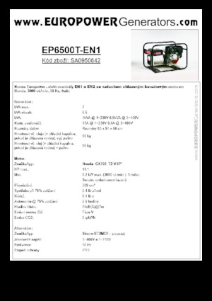 Stromerzeuger, Benzin Europower EP6500T-EN1 (S)