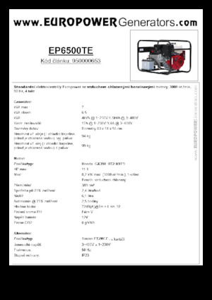 Stromerzeuger, Benzin Europower EP6500TE (S)