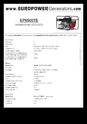 Stromerzeuger, Benzin Europower EP6500TE (S)