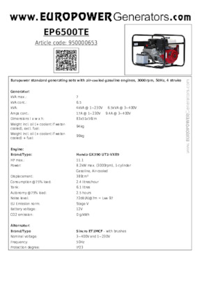Stromerzeuger, Benzin Europower EP6500TE (S)