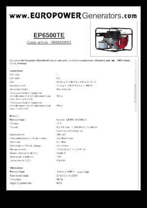 Stromerzeuger, Benzin Europower EP6500TE (S)