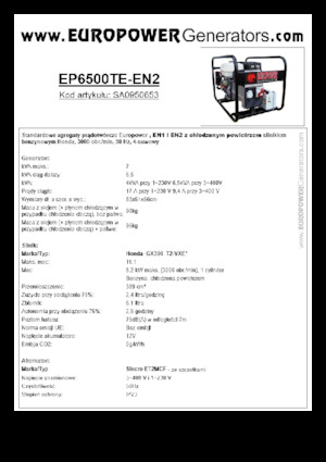 Stromerzeuger, Benzin Europower EP6500TE-EN2 (S)