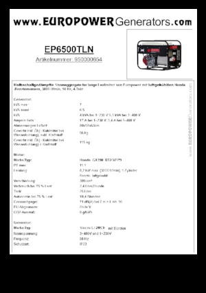 Stromerzeuger, Benzin Europower EP6500TLN (S)