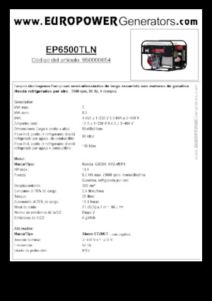 Stromerzeuger, Benzin Europower EP6500TLN (S)