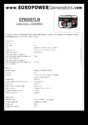 Stromerzeuger, Benzin Europower EP6500TLN (S)