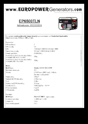 Stromerzeuger, Benzin Europower EP6500TLN (S)