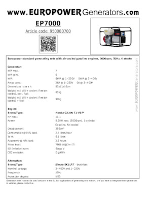 Stromerzeuger, Benzin Europower EP7000 (S)
