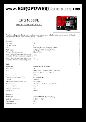 Stromerzeuger, Benzin Europower EPG10000E (S)