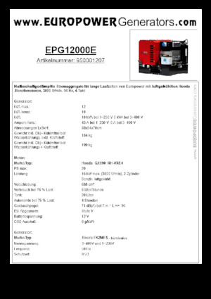Stromerzeuger, Benzin Europower EPG12000E (S)