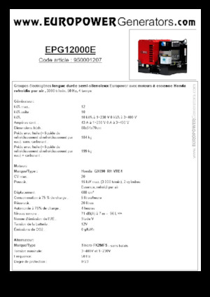 Stromerzeuger, Benzin Europower EPG12000E (S)