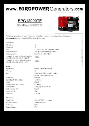 Stromerzeuger, Benzin Europower EPG12000TE (S)