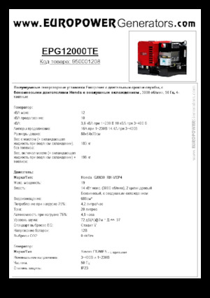 Stromerzeuger, Benzin Europower EPG12000TE (S)