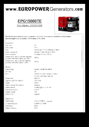 Stromerzeuger, Benzin Europower EPG15000TE (S)