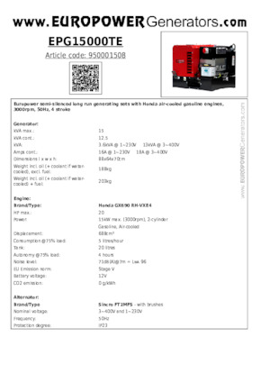 Stromerzeuger, Benzin Europower EPG15000TE (S)