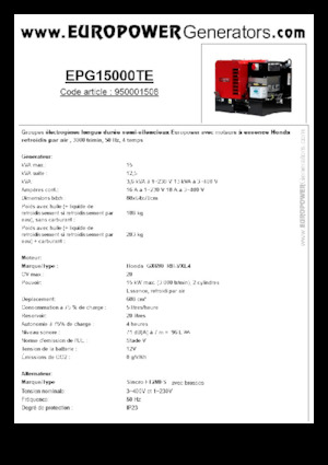 Stromerzeuger, Benzin Europower EPG15000TE (S)