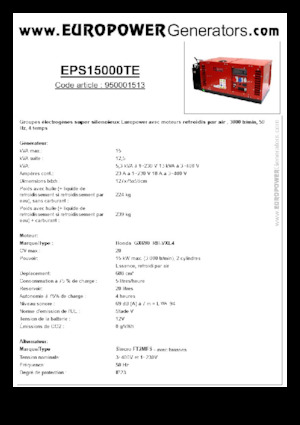 Stromerzeuger, Benzin Europower EPS15000TE (S)