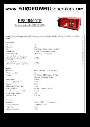 Stromerzeuger, Benzin Europower EPS15000TE (S)