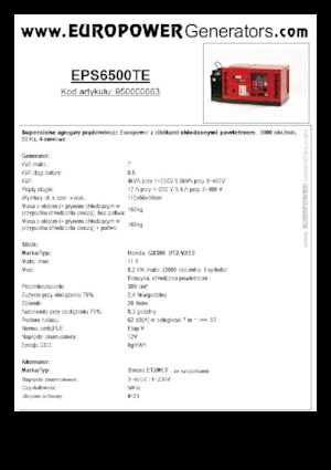Stromerzeuger, Benzin Europower EPS6500TE (S)