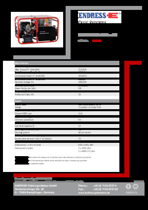 Stromerzeuger, Benzin Endress ESE 1006 DBS-GT 