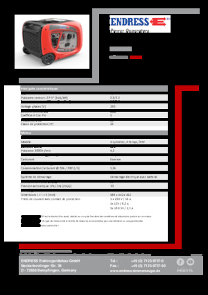 Stromerzeuger, Benzin Endress ESE 3000i