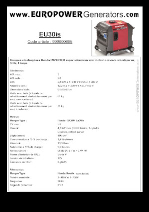 Stromerzeuger, Benzin Europower EU30is