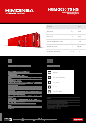 Stromerzeuger, Benzin HIMOINSA HGM-2030 T5 NG
