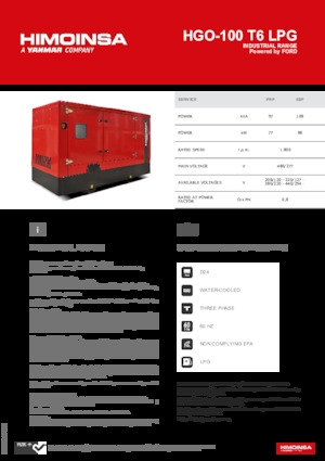 Stromerzeuger, Benzin HIMOINSA HGO-100 T6 LPG