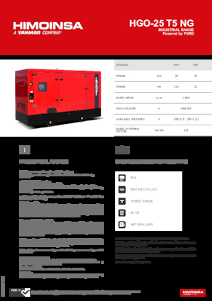Stromerzeuger, Benzin HIMOINSA HGO-25 T5 NG