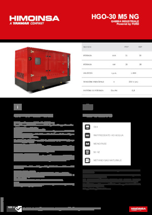 Stromerzeuger, Benzin HIMOINSA HGO-30 M5 NG
