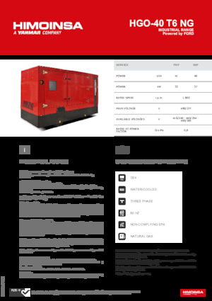 Stromerzeuger, Benzin HIMOINSA HGO-40 T6 NG