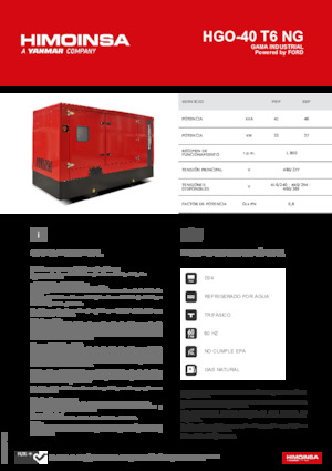 Stromerzeuger, Benzin HIMOINSA HGO-40 T6 NG