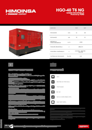 Stromerzeuger, Benzin HIMOINSA HGO-40 T6 NG