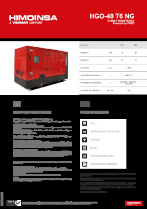 Stromerzeuger, Benzin HIMOINSA HGO-40 T6 NG