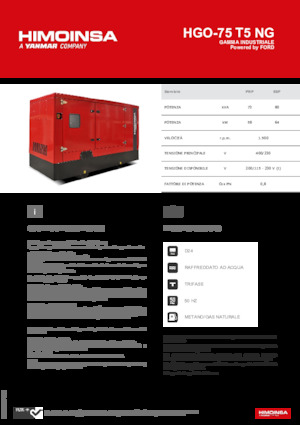 Stromerzeuger, Benzin HIMOINSA HGO-75 T5 NG