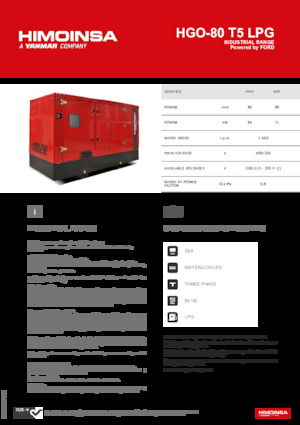 Stromerzeuger, Benzin HIMOINSA HGO-80 T5 LPG