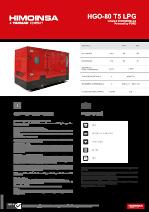 Stromerzeuger, Benzin HIMOINSA HGO-80 T5 LPG