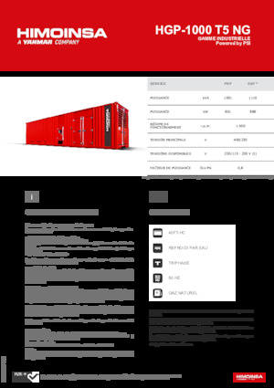 Stromerzeuger, Benzin HIMOINSA HGP-1000 T5 NG
