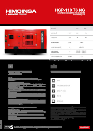Stromerzeuger, Benzin HIMOINSA HGP-110 T6 NG