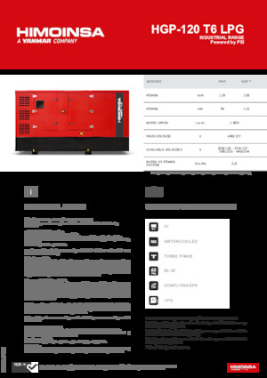 Stromerzeuger, Benzin HIMOINSA HGP-120 T6 LPG
