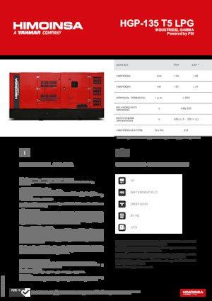 Stromerzeuger, Benzin HIMOINSA HGP-135 T5 LPG