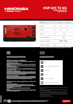 Stromerzeuger, Benzin HIMOINSA HGP-225 T6 NG