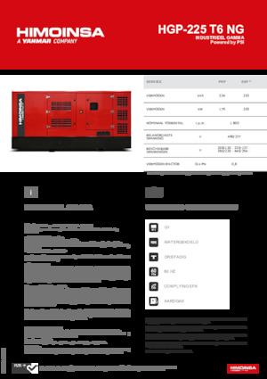 Stromerzeuger, Benzin HIMOINSA HGP-225 T6 NG