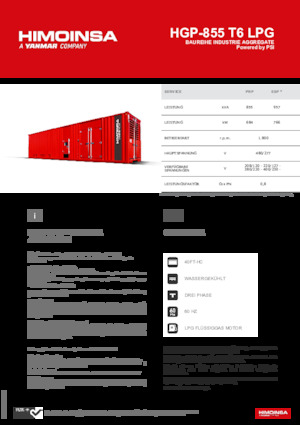 Stromerzeuger, Benzin HIMOINSA HGP-855 T6 LPG