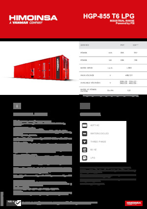 Stromerzeuger, Benzin HIMOINSA HGP-855 T6 LPG