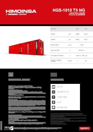 Stromerzeuger, Benzin HIMOINSA HGS-1010 T5 NG