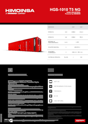 Stromerzeuger, Benzin HIMOINSA HGS-1010 T5 NG