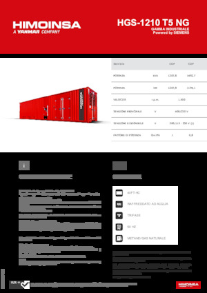 Stromerzeuger, Benzin HIMOINSA HGS-1210 T5 NG