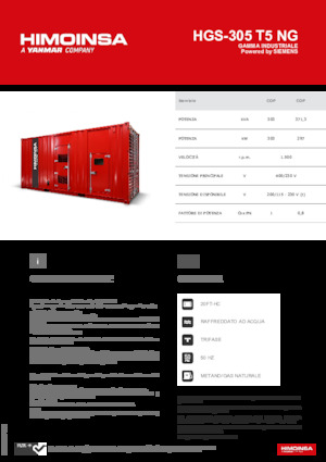 Stromerzeuger, Benzin HIMOINSA HGS-305 T5 NG