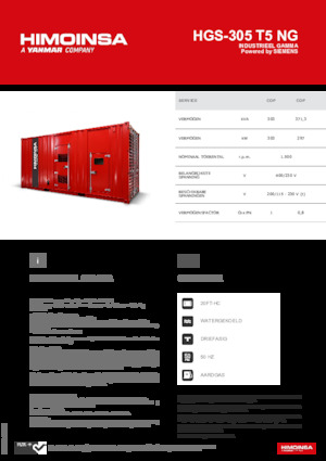 Stromerzeuger, Benzin HIMOINSA HGS-305 T5 NG